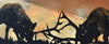 We battle with horns 8x24