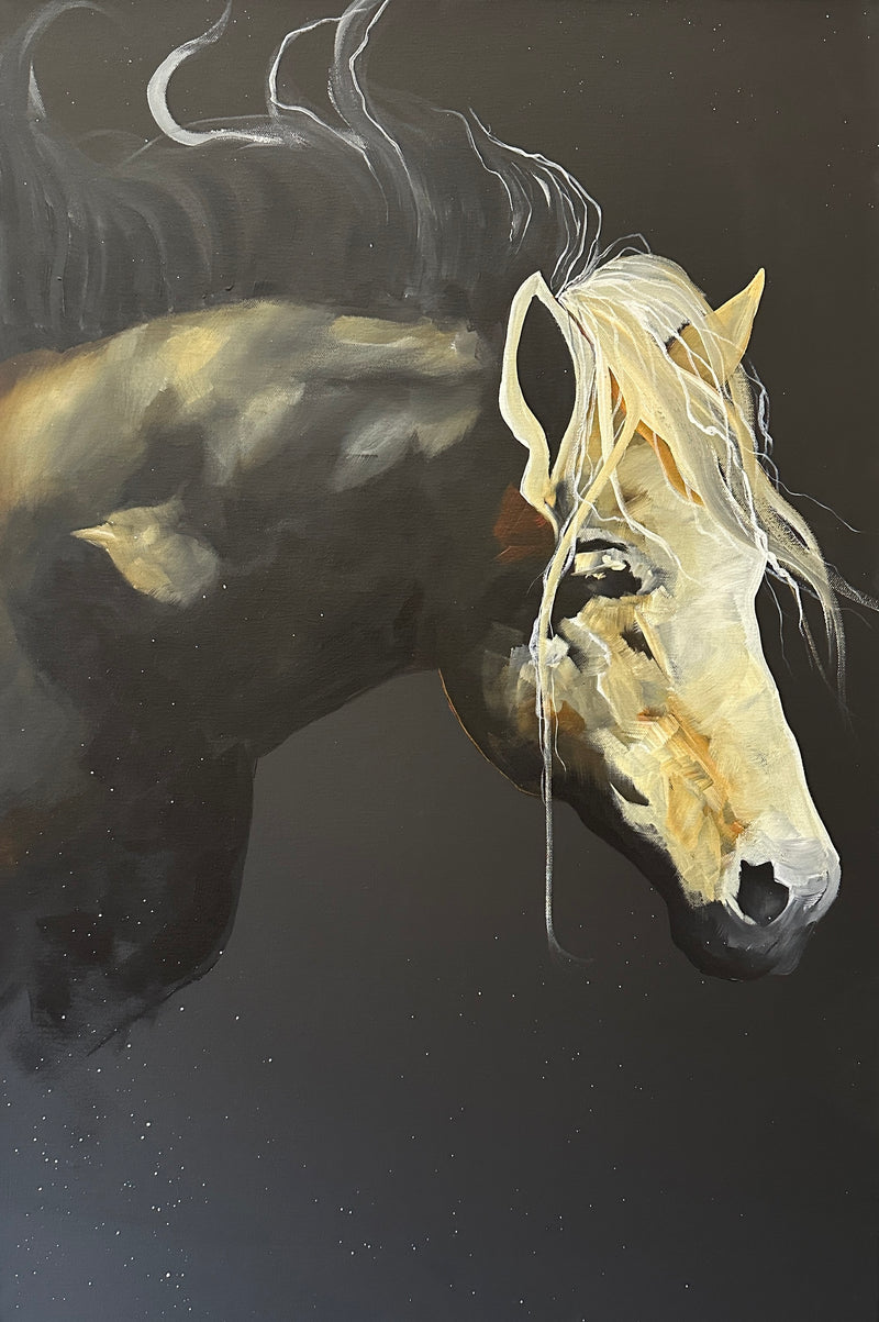 The reality I live in