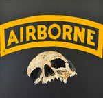 Airborne 36x36