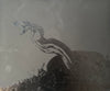 DFWM 20x24