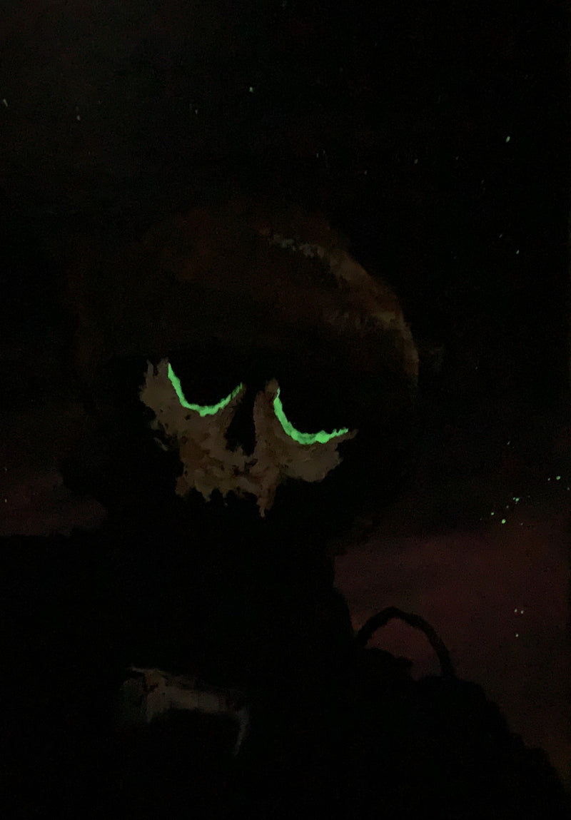 Last Thing You See 18x36